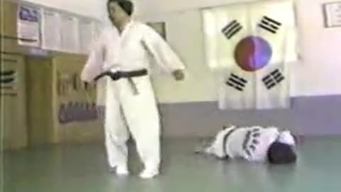 Hankido/Hapkido
