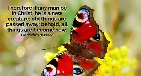 NEW CREATION 2 OF 6 EW KENYON