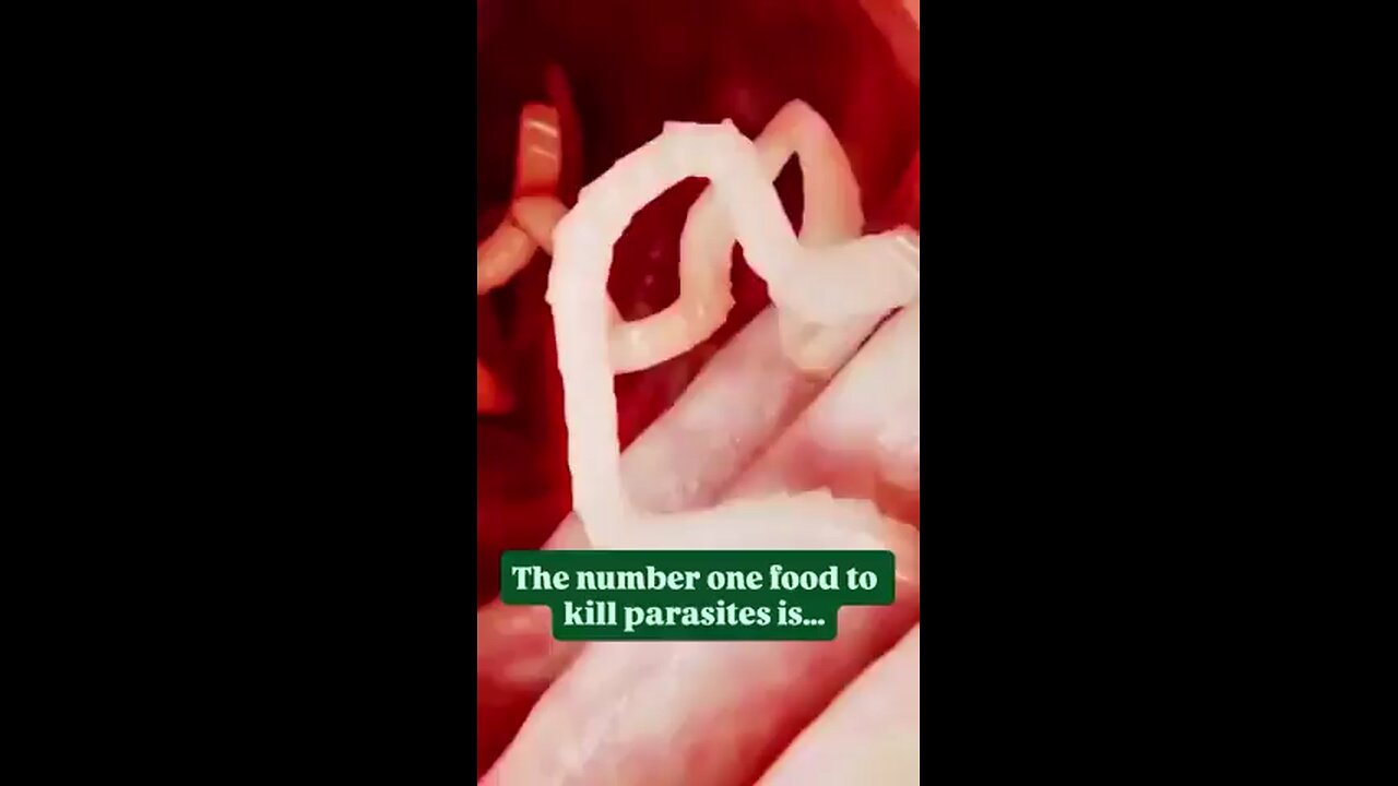 The Eggs & Larvae Need To Go Or The Parasites Stay on Board