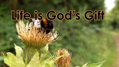 Life is God's Gift 💝