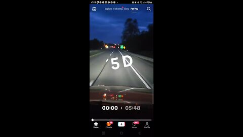 What Life In 5D Looks Like