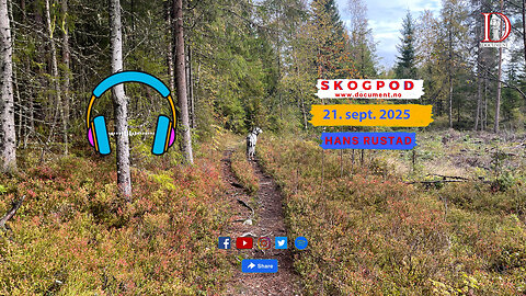 Skogpod 21. september 2025