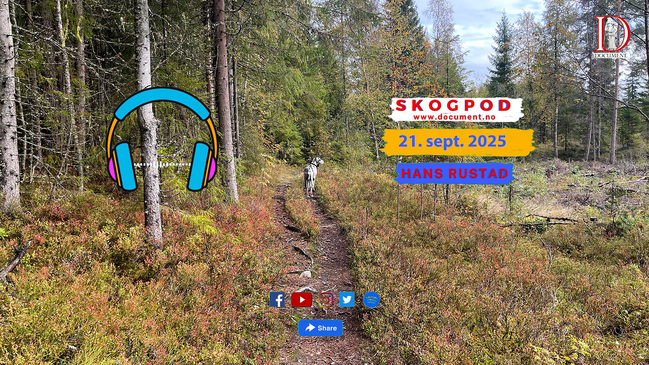 Skogpod 21. september 2025