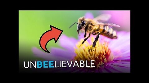 Sorry, Evolutionists: Bees DESTROY Your Entire Worldview