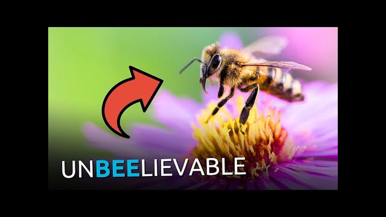 Sorry, Evolutionists: Bees DESTROY Your Entire Worldview