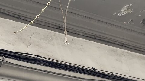 Personajes enigmáticos Barcelona 32