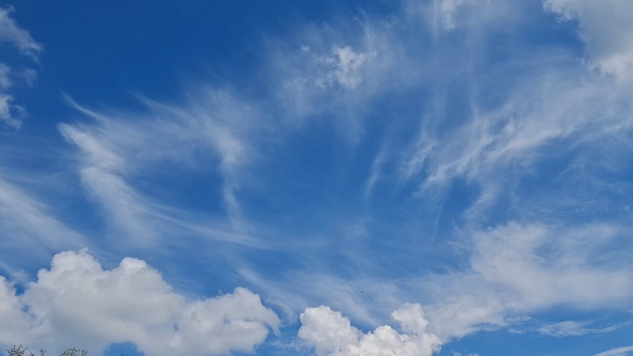 chemtrails biological pathogens
