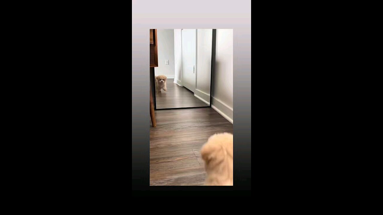 अबे कौन है ये