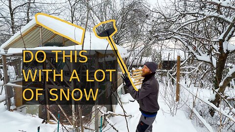 Heavy Snowfall in Hungary: Protecting My Chickens and Garden