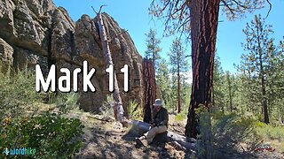 Mark 11, Bible Reading in Nature, BSB