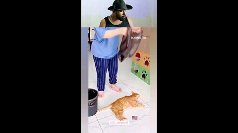 trynottolaugh part 134