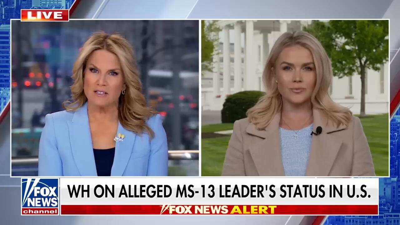 Karoline Leavitt pressed on alleged MS-13 leader's deportation: This is the 'bottom line'