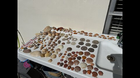 Beach Finds 1/16/2026 | 4K