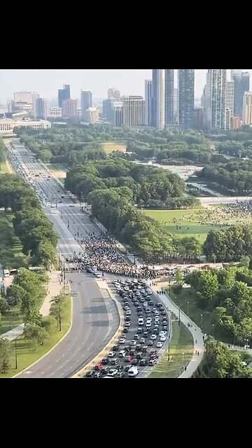 PAID RIOTERS BLOCKS CHICAGO FREEWAY🏙️🛣️🚧🚕🚗🚛🥷💫