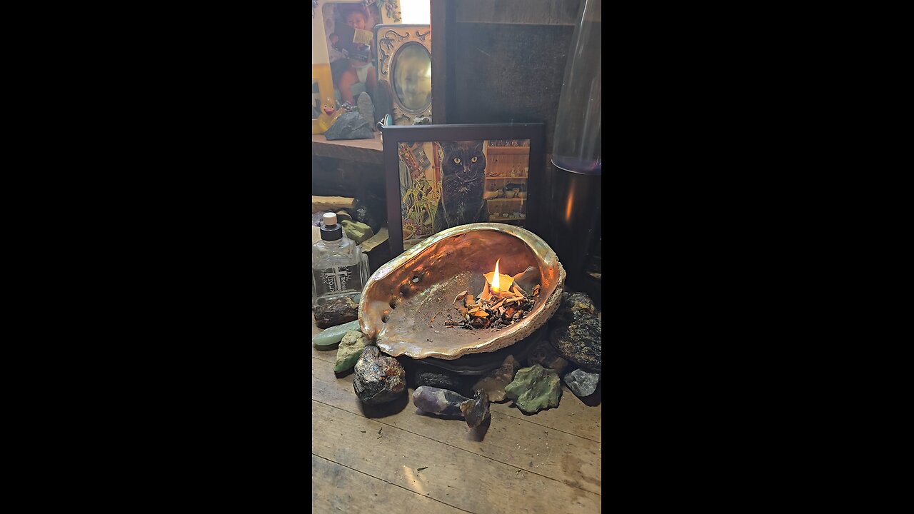 12/18/25 Have a Balanced Day ☮️✌️💜💪😎👍