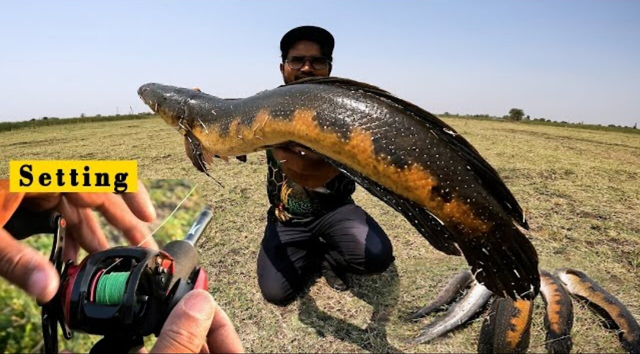 How to set Baitcasting Reel for beginners || Snakehead fishing new video
