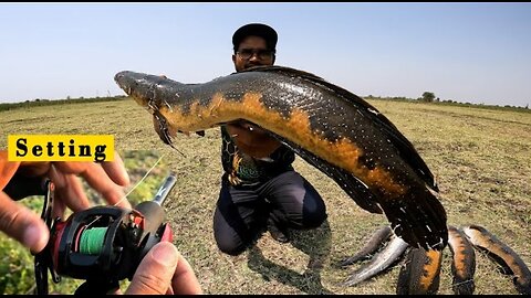 How to set Baitcasting Reel for beginners || Snakehead fishing new video