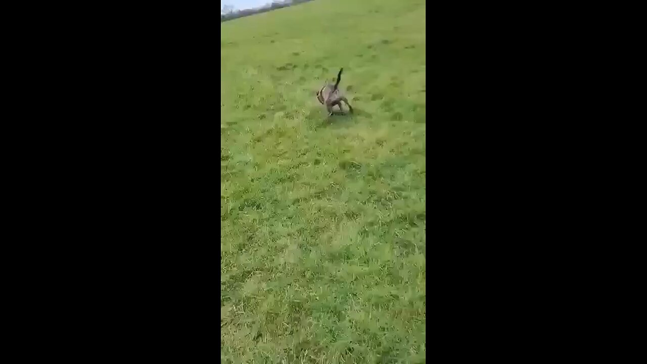 Training the boy