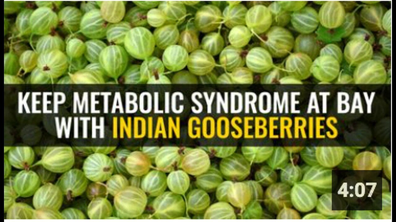 "Manage Metabolic Syndrome with Indian Gooseberries"