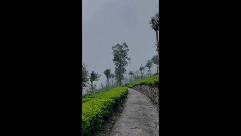 Travel with Sri Lanka 🇱🇰