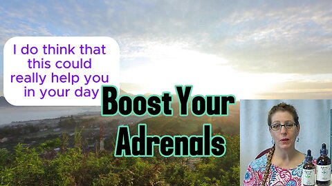 The Benefits of Boosting your Adrenal Glands | Adrenal Fatigue | Exercise Recovery