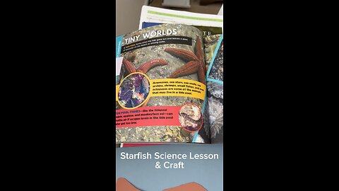 We have been loving this book to study the ocean! 🌊