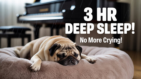 3 Hours of Relaxing Piano Music for Dog Anxiety, Sleep, and Crate Training