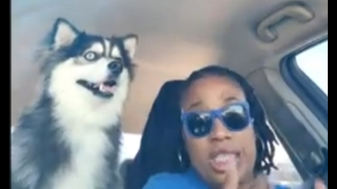 WALK w/ CHOOCHOO 🌟 🐕 💞 & ME: ELECTED ELITE STROLL on Deez TROLLS 🧌 SUMMER 2024