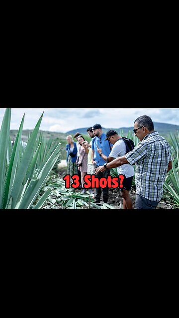 Mezcal Tour