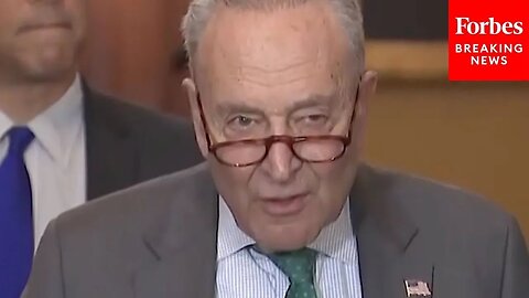 'Looks Like He Rolled Over': Democratic Strategist Reacts To Schumer Backing CR