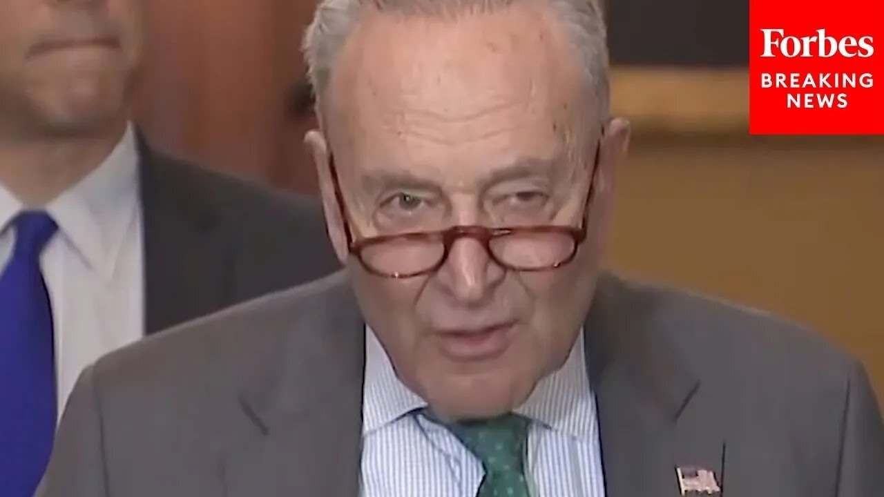 'Looks Like He Rolled Over': Democratic Strategist Reacts To Schumer Backing CR