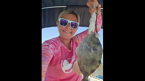 Florida West Coast Fishing Report