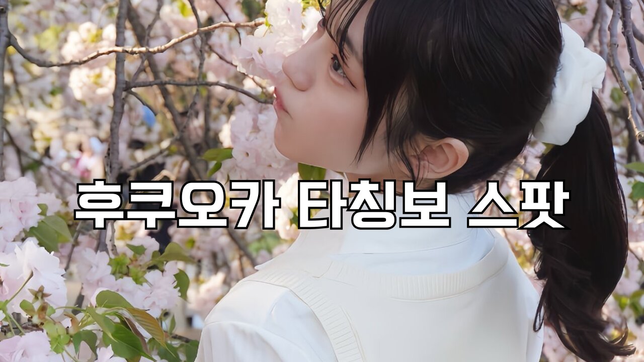 후쿠오카 타칭보 스팟 FUKUOKA TACHINBO SPOT