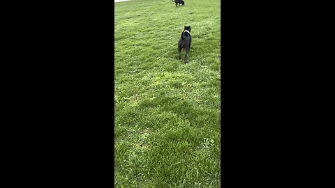 Rainy day fun