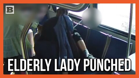 Large Woman Repeatedly Punches Elderly Lady in the Head on Florida Bus