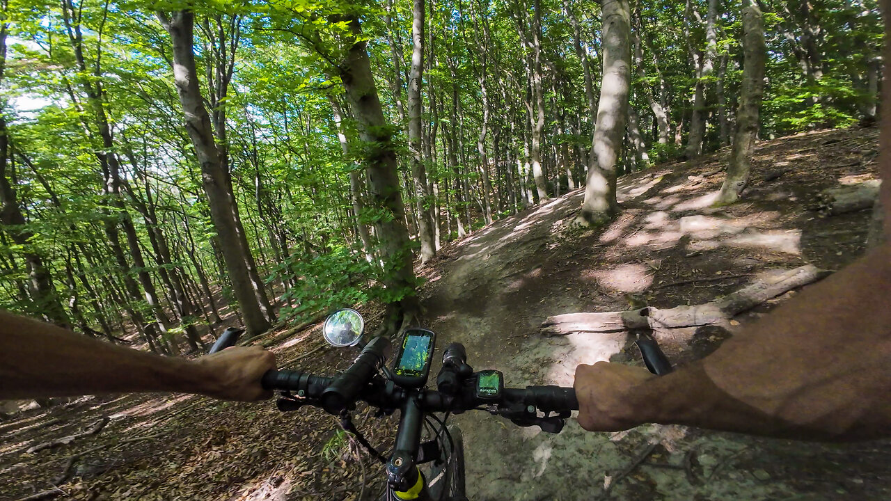 Cycling, 05.08.2025 [A] Hernals → Wienerwald