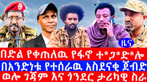 በድል የቀጠለዉ የፋኖ ተ*ጋ*ድ*ሎ/በአንድነቱ የተሰራዉ አስደናቂ ጀብድ/ወሎ ገጃም እና ጎንደር ታሪካዊ ስራ