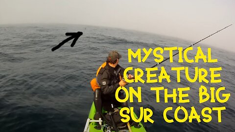 MYSTERIOUS creature, captured on GoPro camera while fishing! STILL UNIDENTIFIED!
