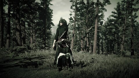 Red Dead Online Live Gameplay