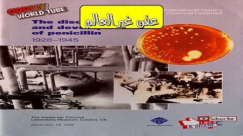 لحظات اكتشاف البنسلين: قصة العفن الذي غير العالم #بنسلين #اكتشاف #طب