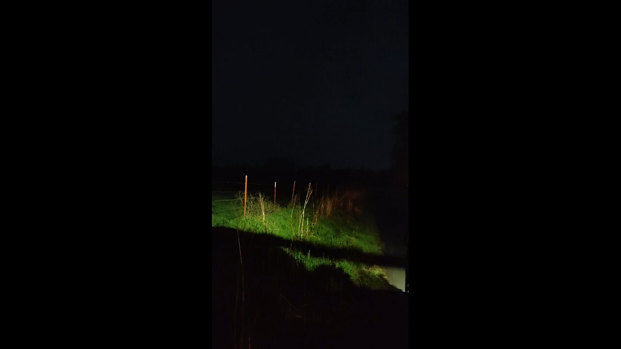 Disco Storm
