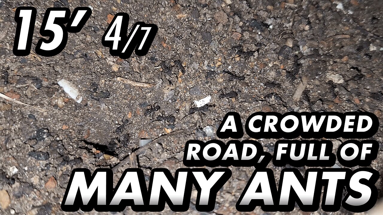 ASMR | Brick by brick, doing mainteinance of their underground bunker - 15' 4/7