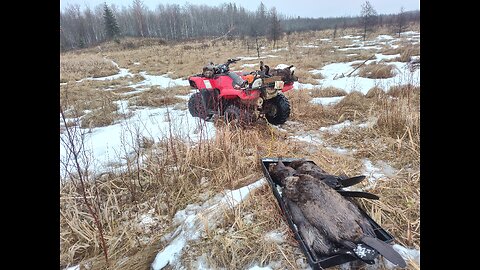 April 5, 2025 - Pulling the North Trapline