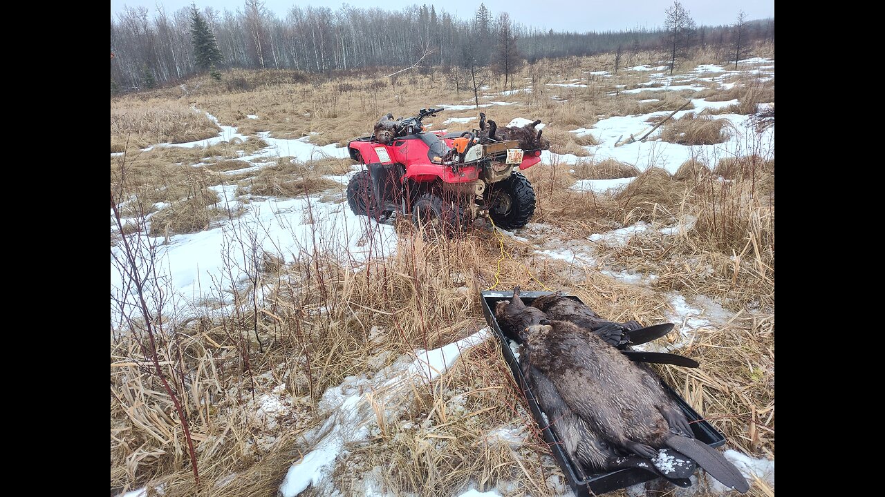 April 5, 2025 - Pulling the North Trapline