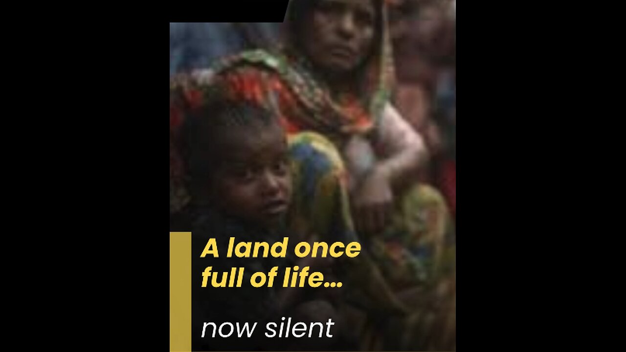 Myanmar’s Silent Hunger: A Nation Forgotten by the World