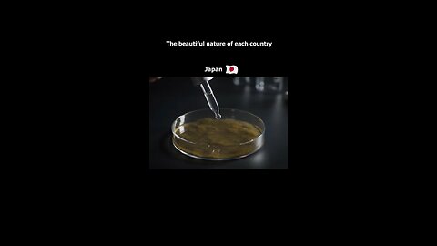 a s m r videos Nature