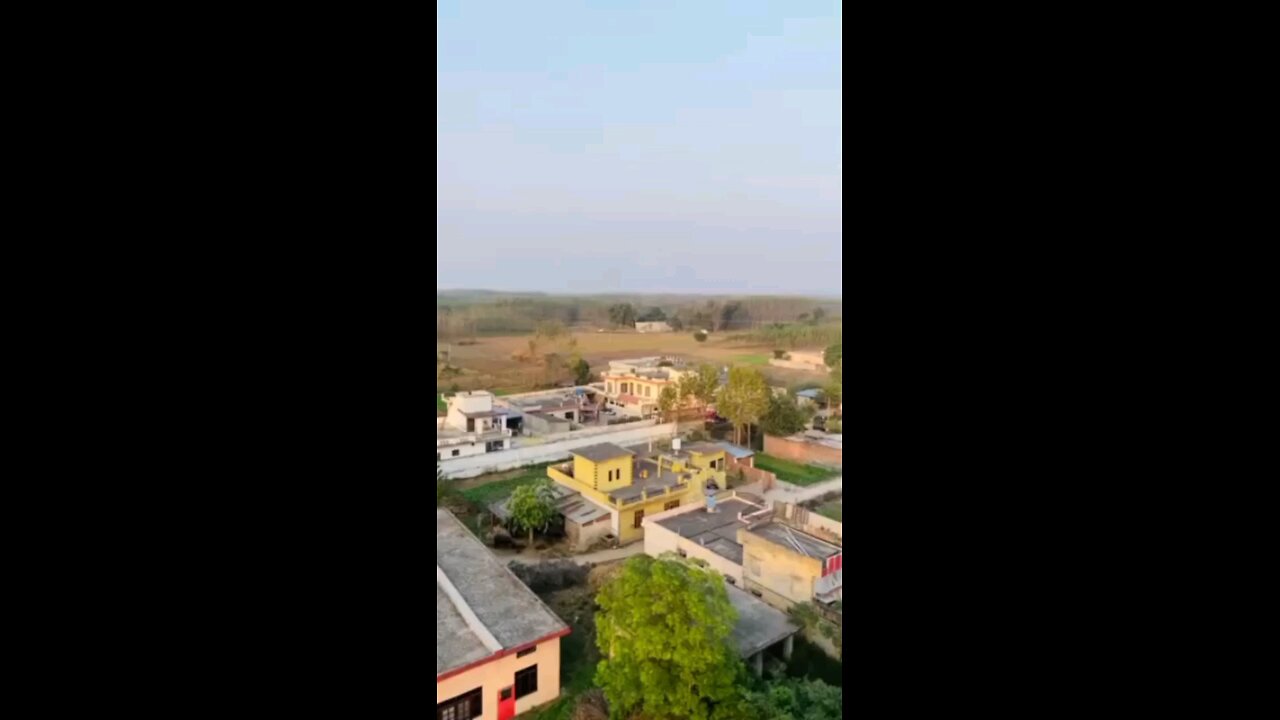 satisfying Video
