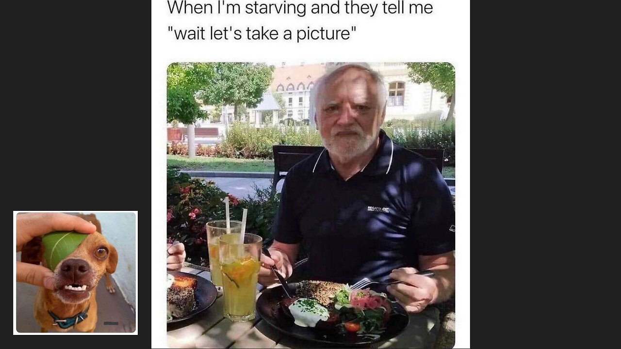 Memes That Will 99.0137% Make You Laugh. (e361)