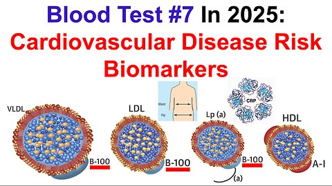 Cardiovascular Disease Biomarker Deep Dive (Test #7 In 2025)