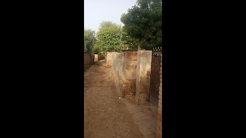 my village beautiful viral vedio